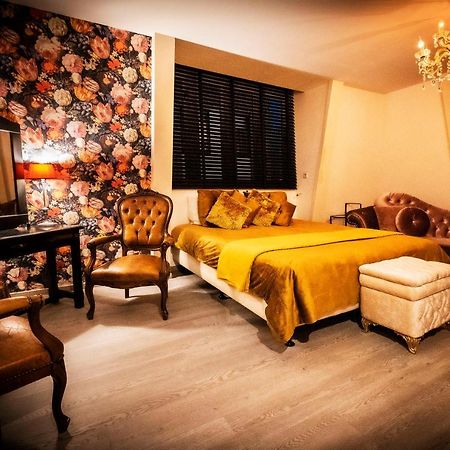Mylos Studios ألكمار المظهر الخارجي الصورة